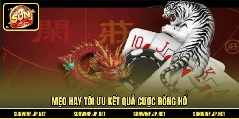 Mẹo hay tối ưu kết quả cược Rồng Hổ 